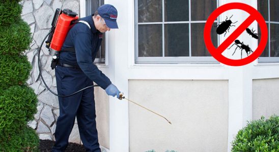Çayıralan Böcek İlaçlama böcek ilaçlama ve haşere kontrolü — ilaclama-tr.com